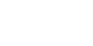 Pylontech Logo