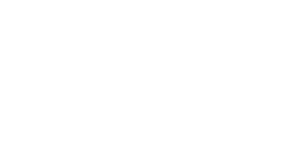 Pylontech Logo