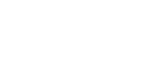 Solax Logo